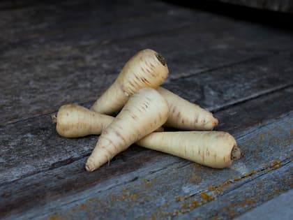 Alt du trenger å vite om pastinakk