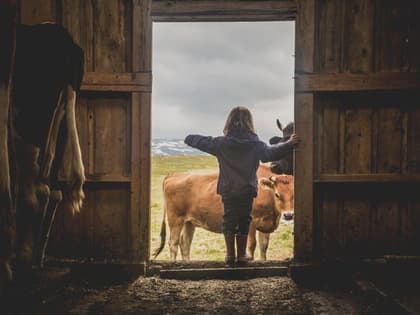 Rueslåtten Ysteri - Hol i Hallingdal