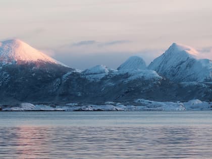 Havsnø - Gossen