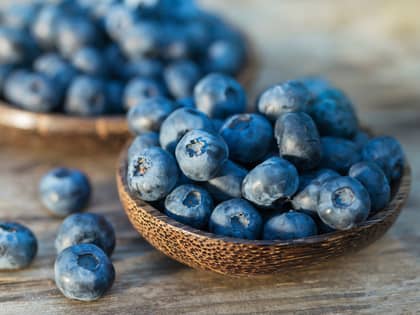 Nyttige fakta om blåbær