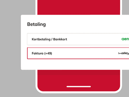 Betal med faktura i nettbutikken
