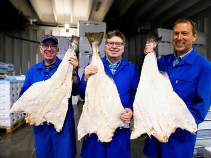 Dybvik - klippfisk i særklasse fra Borgundfjorden