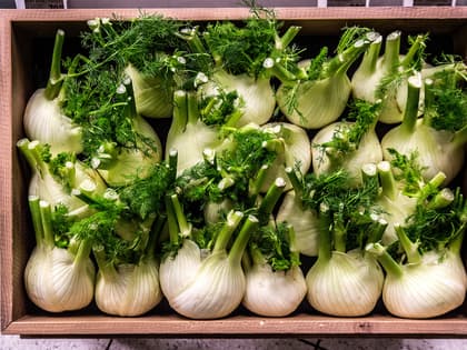 Fennikel på 4 måter