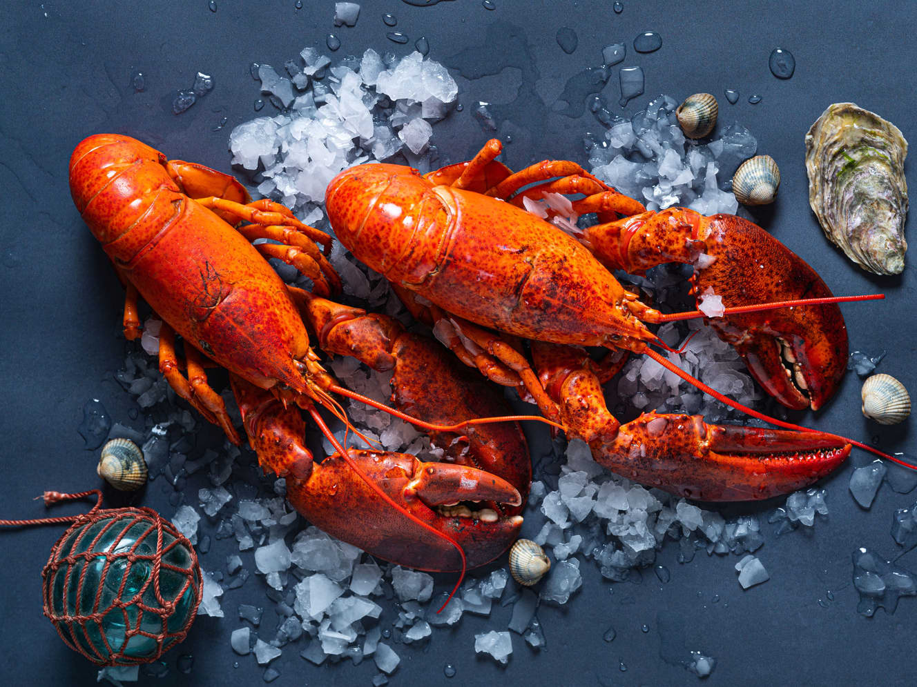 Tilbereding av hummer