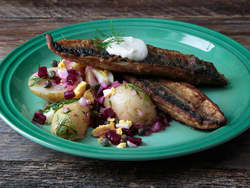 Sprøstekt makrell og nypotetsalat med dill, rødbete og kapers