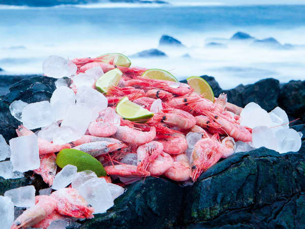 Kjøp ferske og frosne reker på nett