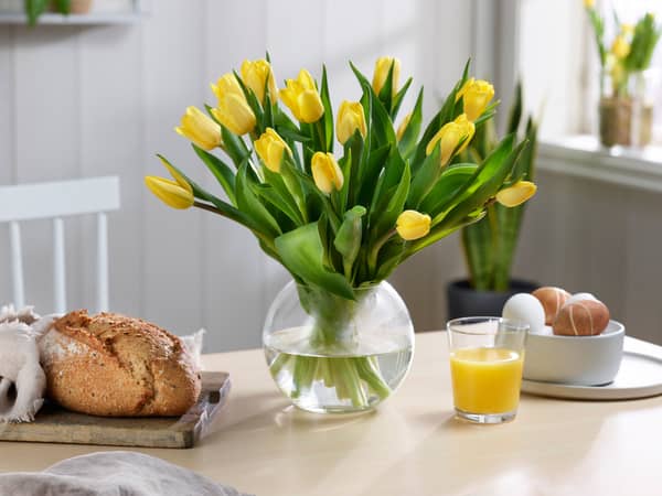 Blomster og planter