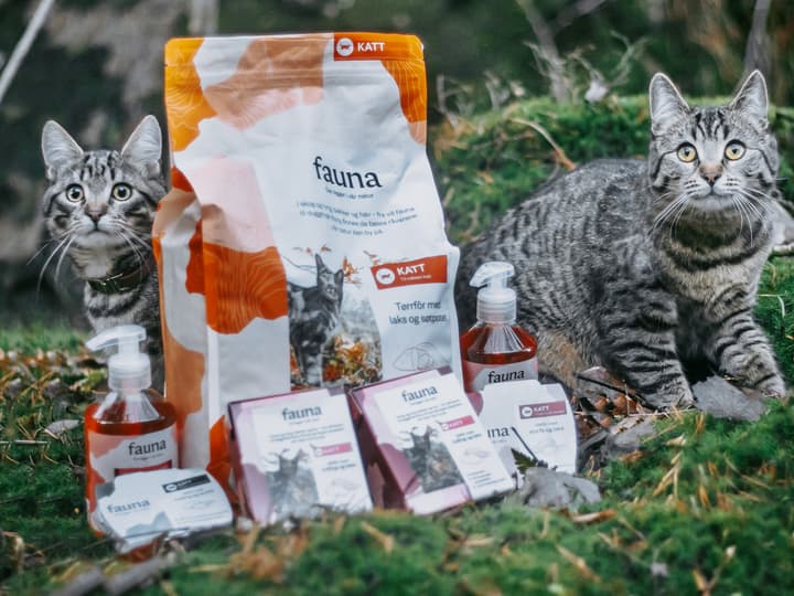 Kattene Kassie og Meeko.