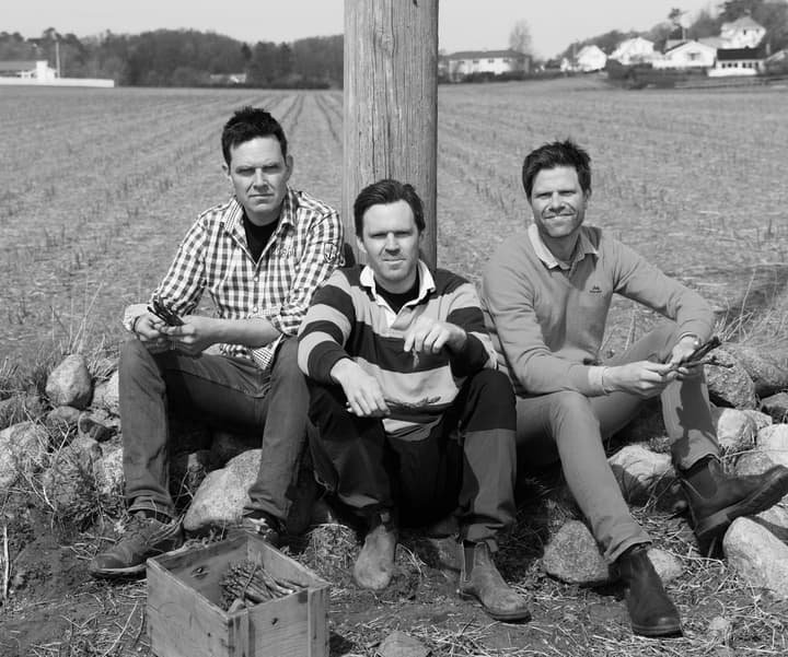 Bernt, Edvart og Anstein Freberg