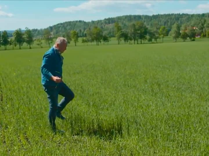 Holli Mølle, Økologisk mel, Østfold