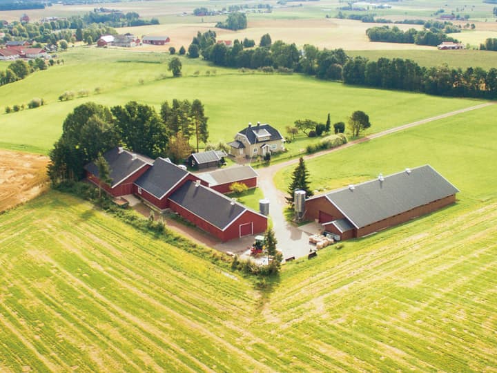 Kyllingene klekkes ut på Lerstang gard i Vestfold, og vokser opp på 11 garder i omradet i romslige kyllinghus med vinterhager, vinduer og naturlig dagslys. 