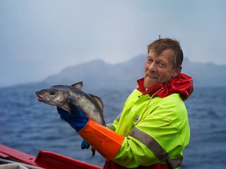 Den gode skreien vi får om vinteren er en av våre beste råvarer