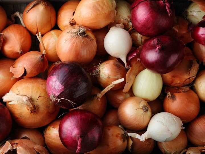 Løk kommer i mange former og fasonger, men de kan stort sett brukes om hverandre.