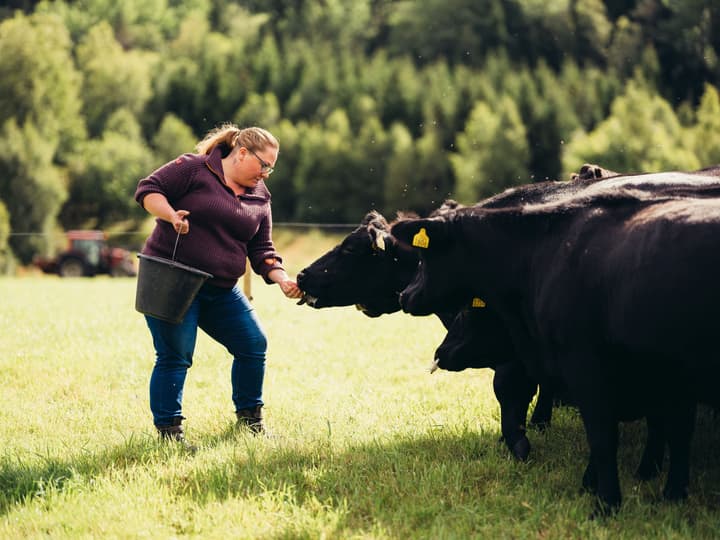 Det har gått med mange timer til kos og klapping av de flotte dyrene.