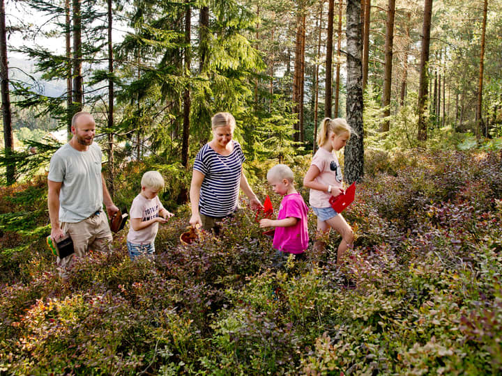 Røyland Gård har hele tiden vært opptatt av utnytting av naturressursene. Høsting, sanking og foredling har vært en naturlig del av hverdagen på gården fra starten av.