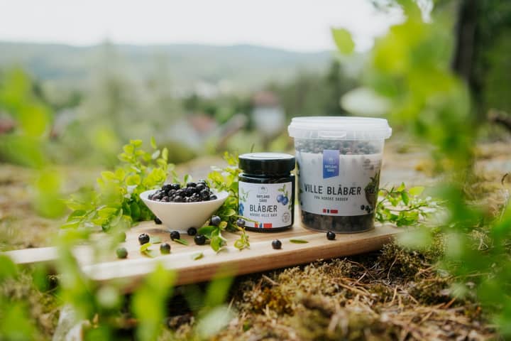 Norske ville blåbær på glass og i boks klare til å nytes