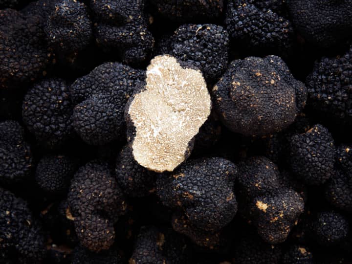 Den hvite trøffelen er ikke hverdagskost, og ifølge National Geographic er det verdens nest dyreste matvare, kun slått av russiske kaviar.