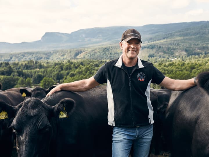 At dyrene har de godt og vite at man produserer norsk kjøtt av aller beste kvalitet på norske beiteressurser, synes Svein føles bra.