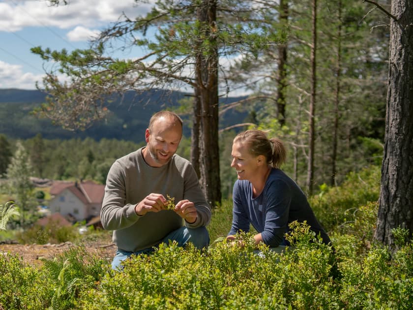 Her er finalistene i Norges største lokalmatpris 2025