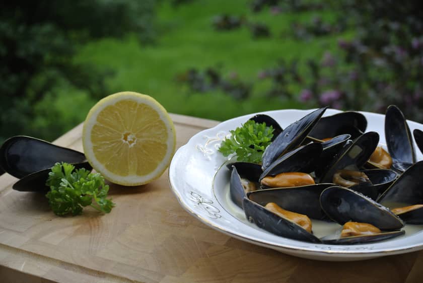 Snadder og Snaskum - Rissa