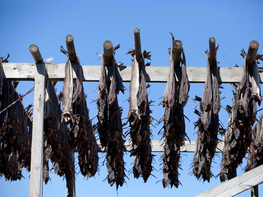 Verdensberømt på godt og vondt