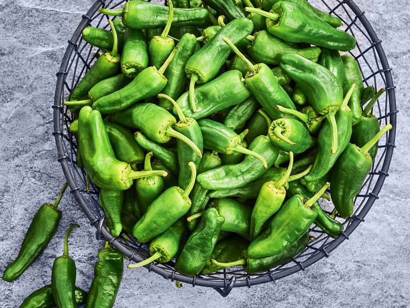 Slik bruker du padron