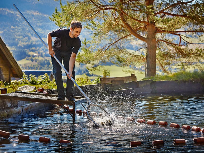 Noraker gård - Valdres