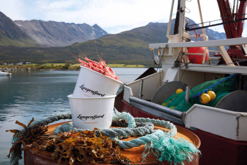 Håndpilla reker fra Lyngen