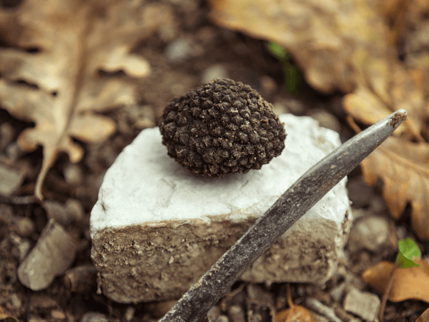 Hva er trøfler og hvordan brukes det?