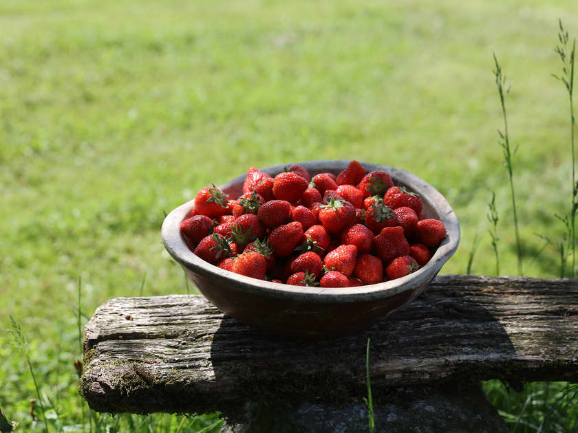 Jordbær fra Vestfold