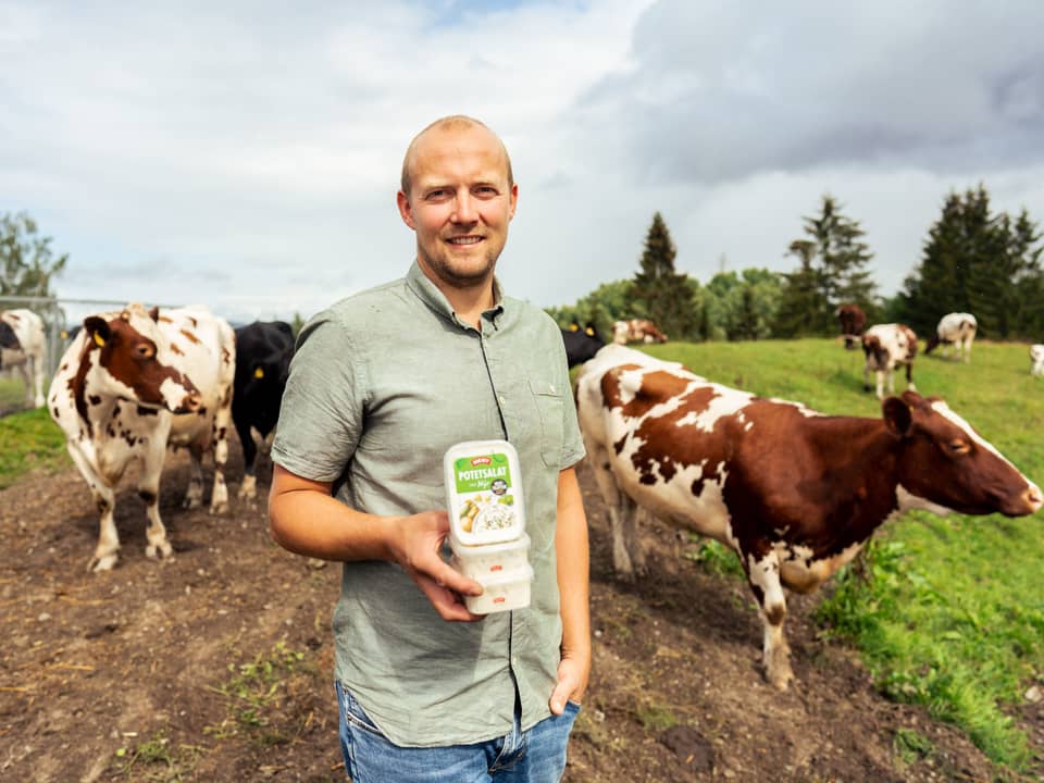 Nå får du potetsalat med ferskosten Nýr hos MENY