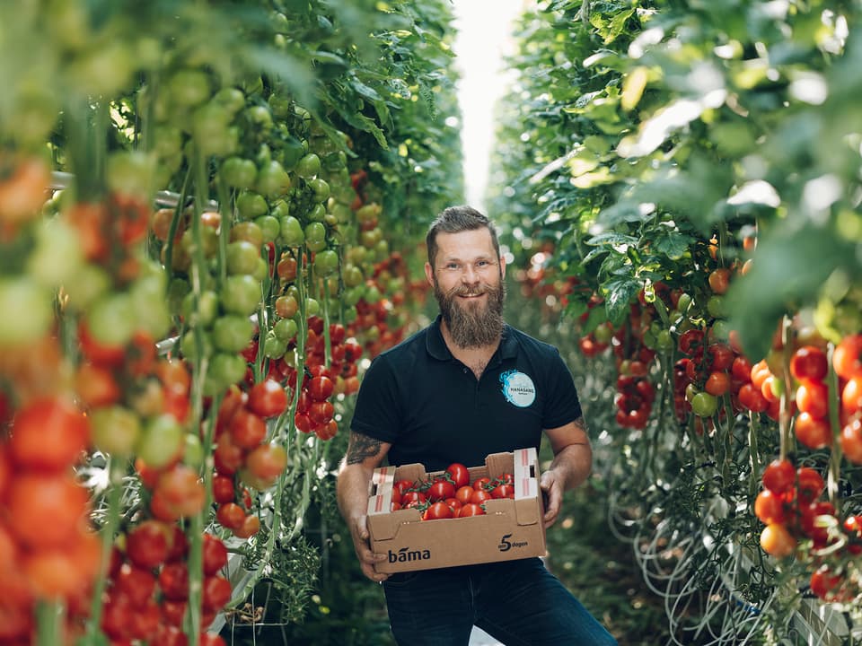 På Hanasand Gård i Rogaland produserer de smakfulle tomater for enhver smak