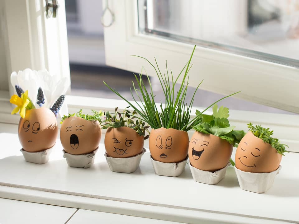 Her har vi plantet karse i rene, tomme eggeskall og tegnet på fjes for en morsom vri.