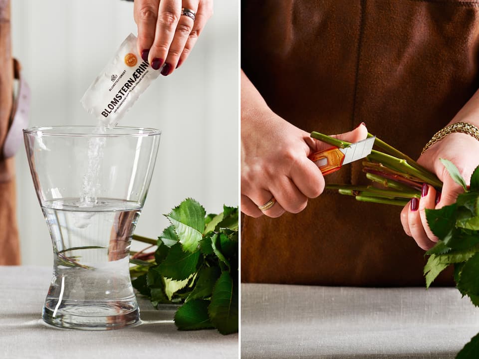 Blomsternæringen sørger for at blomstene holder seg friskere lenger. For å ta opp mest mulig vann og næring, må også blomstene snittes med en skarp kniv.