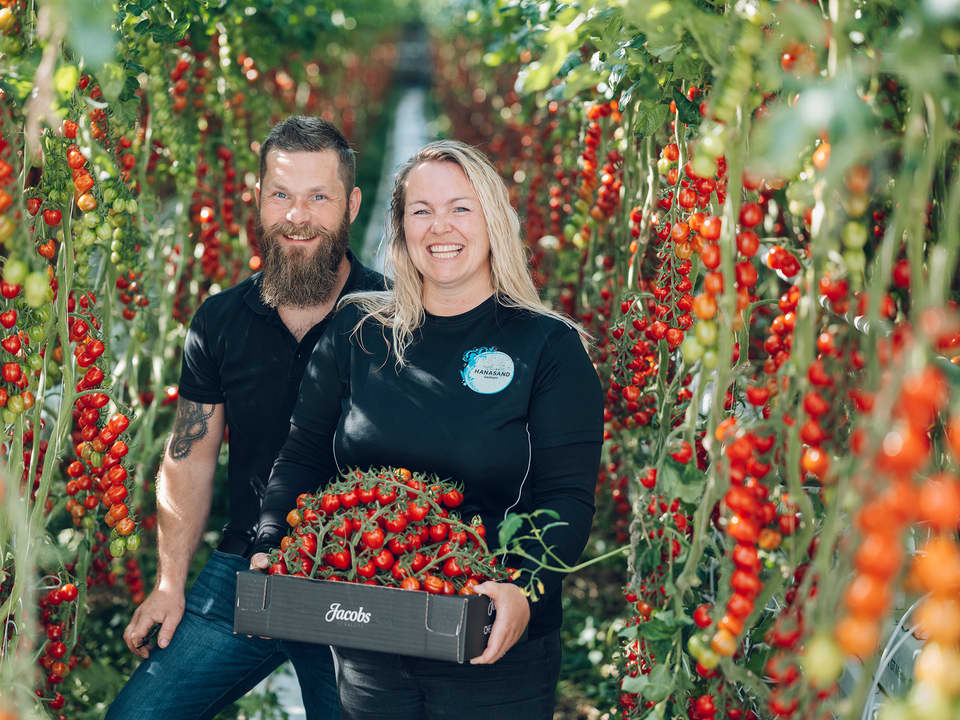 Stig Jacob og Monica leter stadig etter nye tomatfrø og spennende smaker