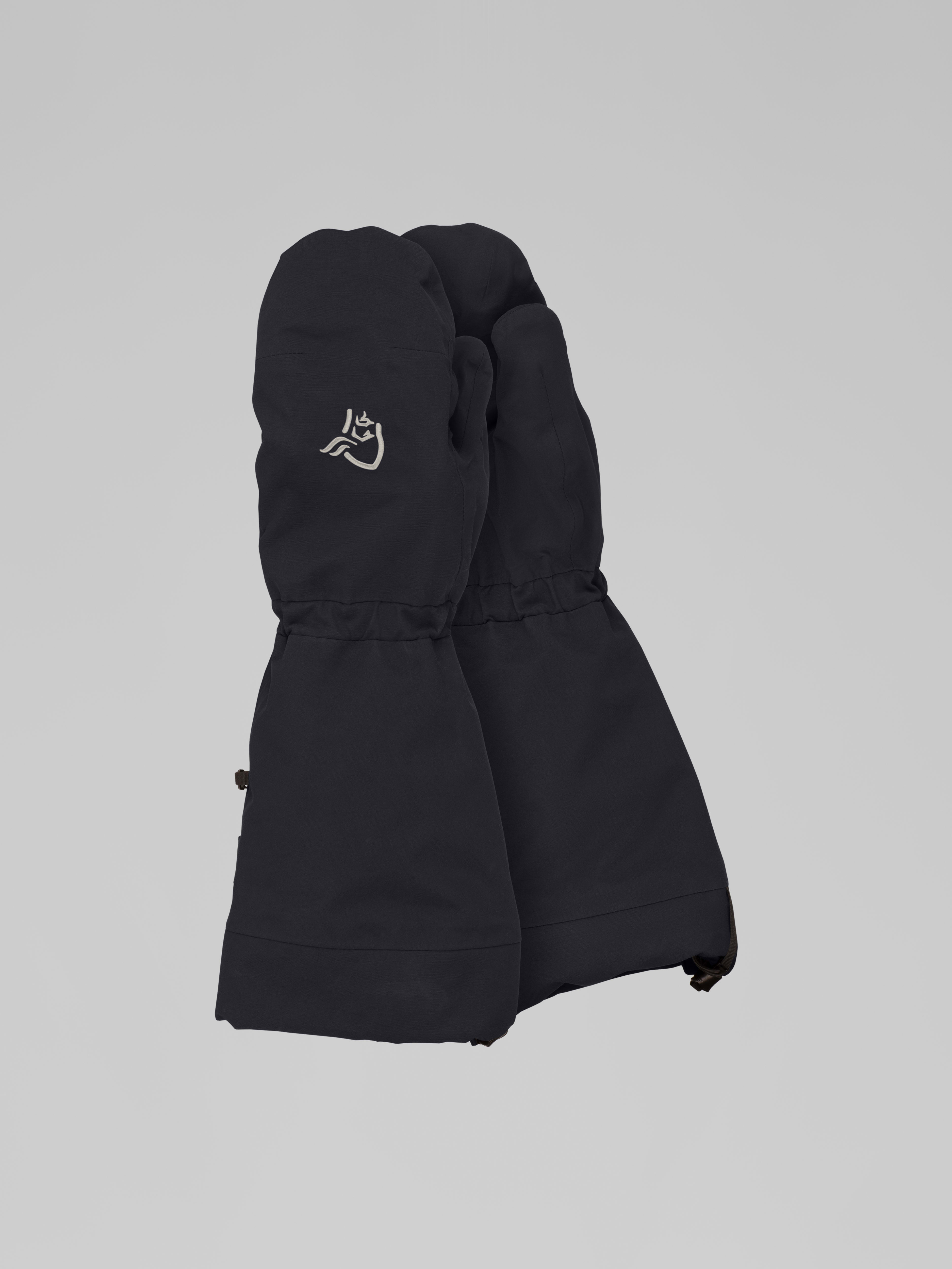 Packshot front image of arktis Gore-Tex Ousland Edition Mittens Caviar Black