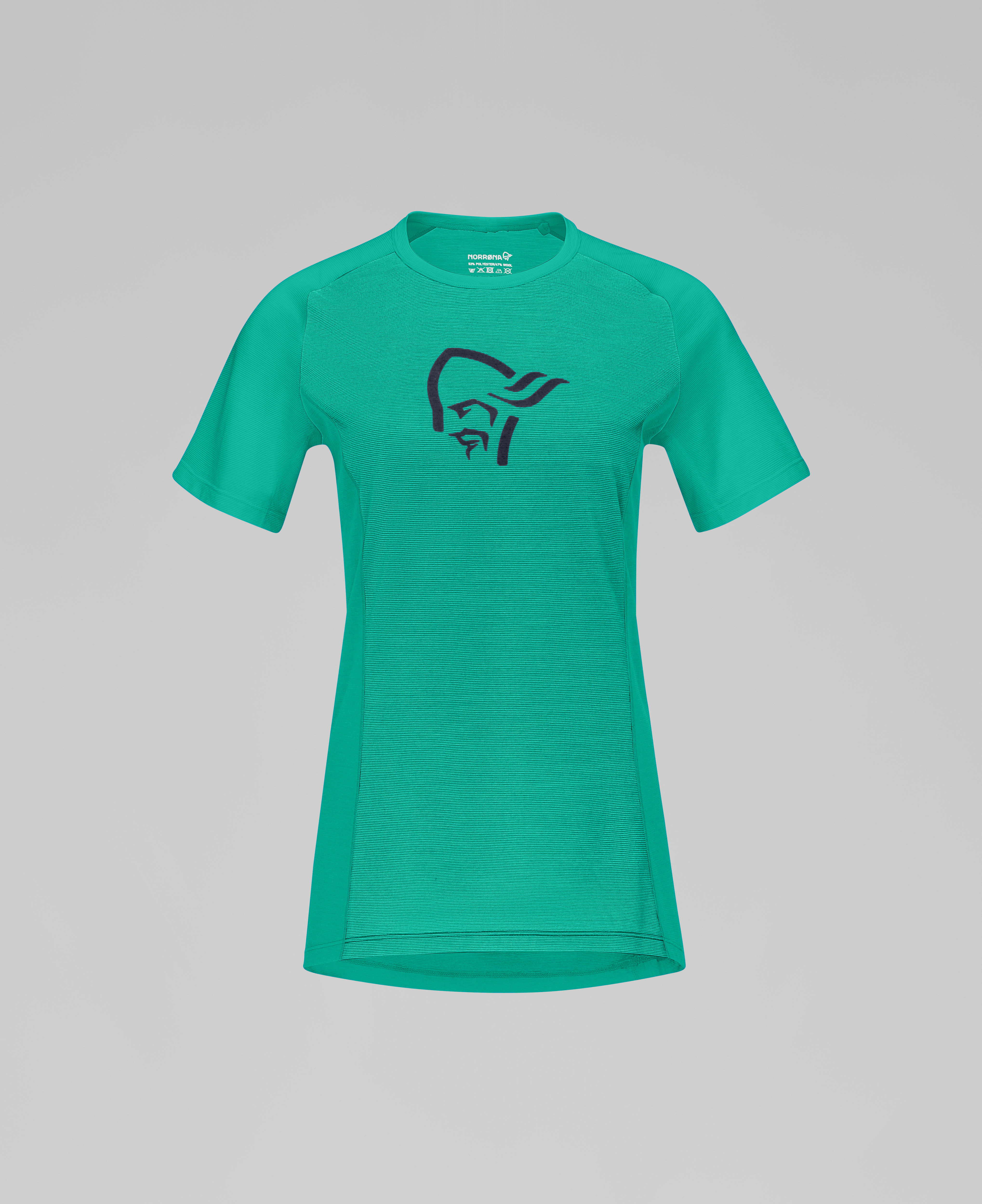Packshot front image of fjora wool T-Shirt Arcadia