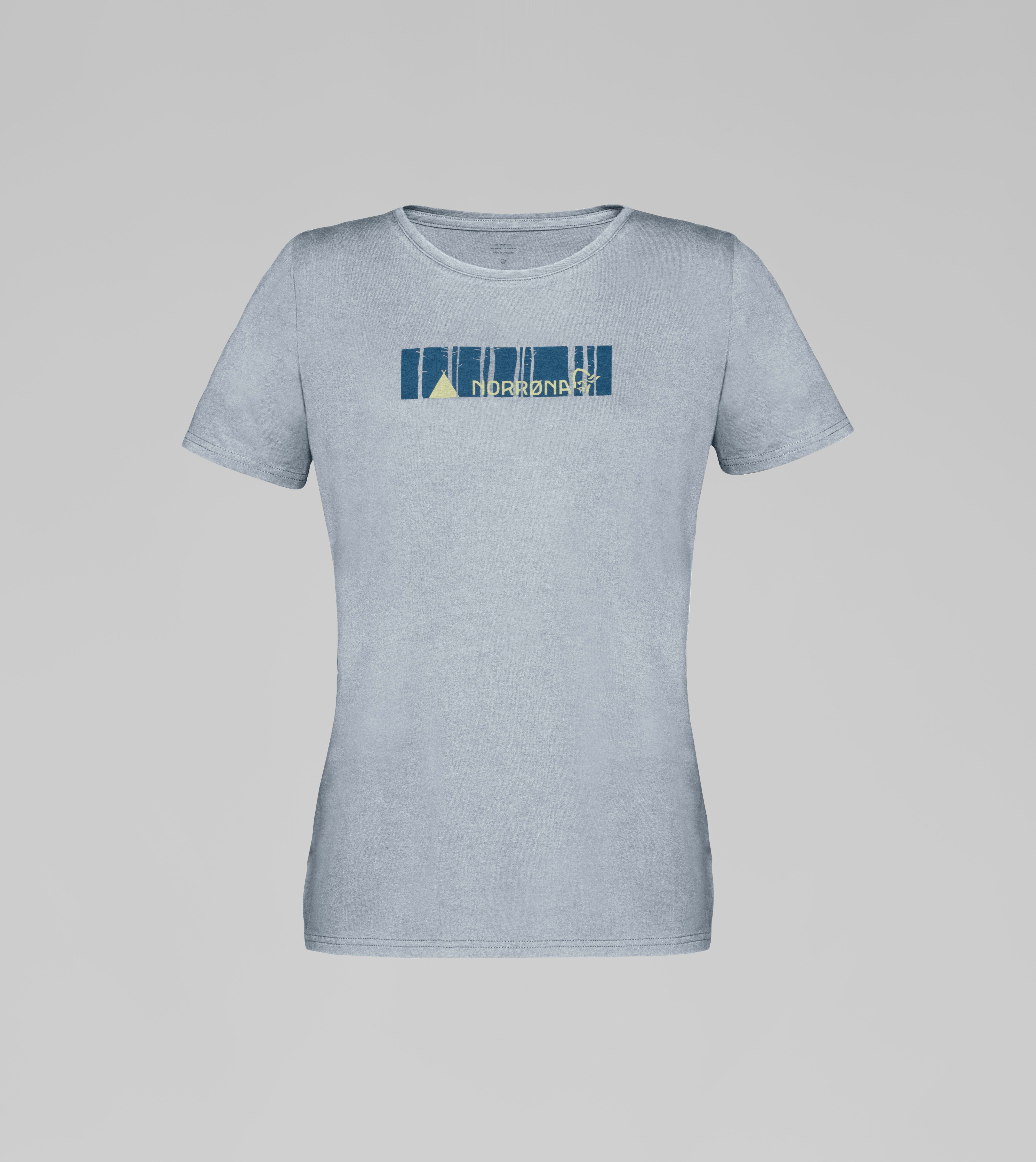 Packshot front image of 29 cotton campsite T-Shirt Grey Melange