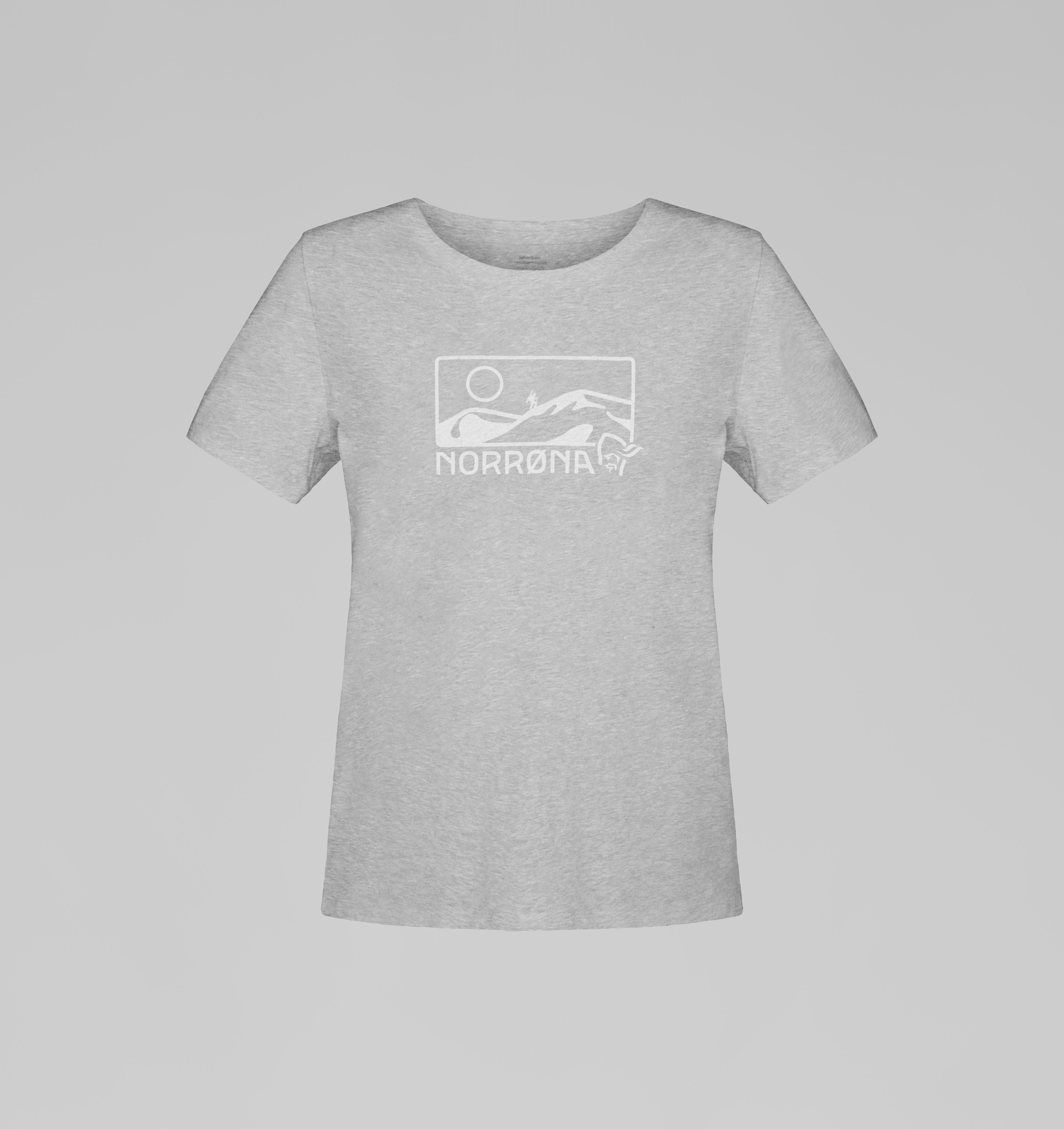 Packshot front image of 29 cotton touring T-Shirt Grey Melange