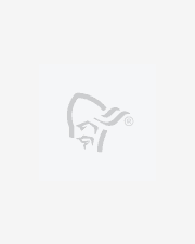 Norrøna falketind warm1 fleece Jacket for men - Norrøna®