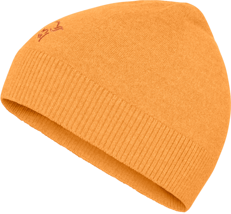 /29 light merinoUll Beanie Autumn Glory