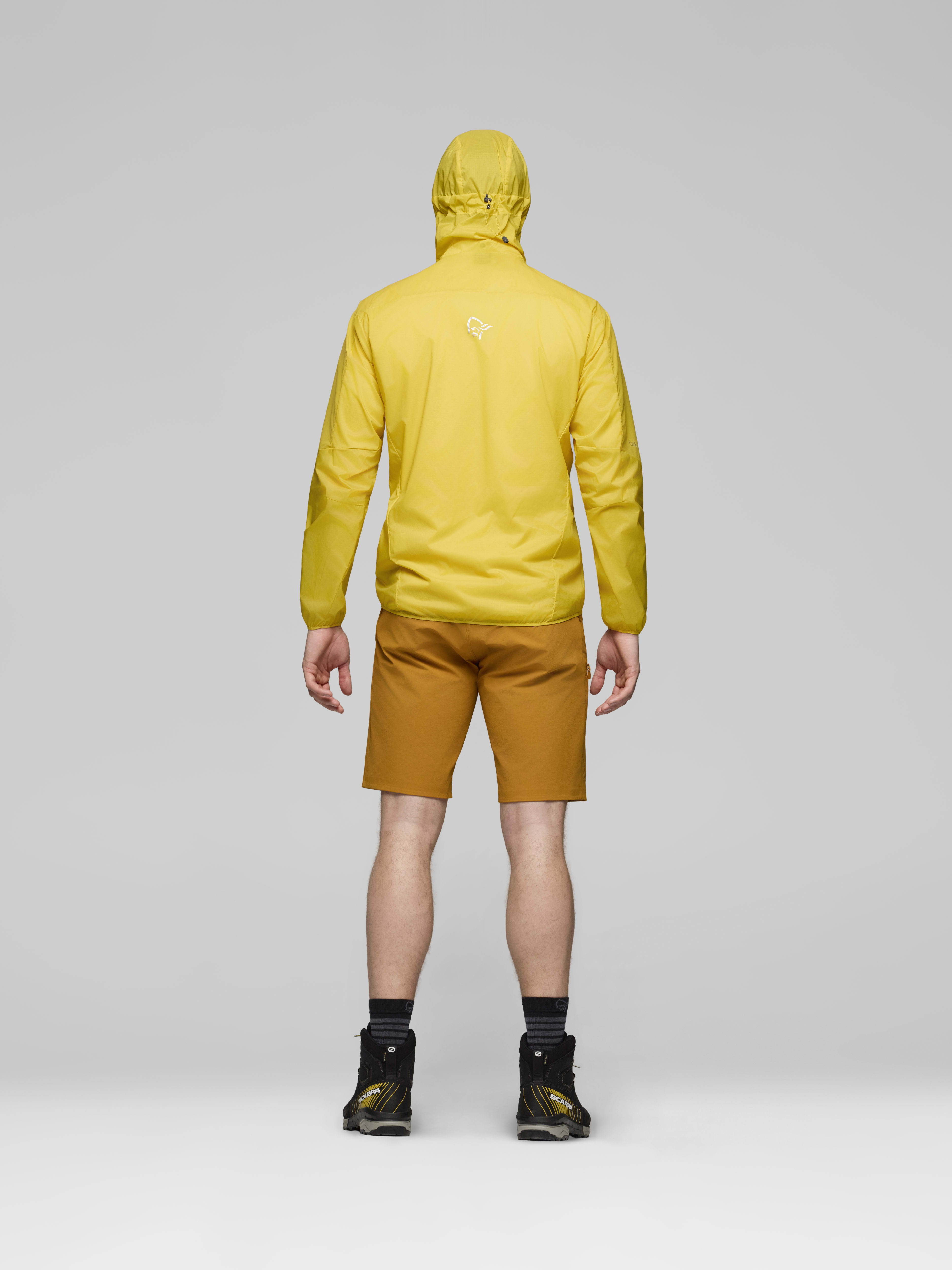 Male Look back image of falketind aero60 Zip Hood Freesia