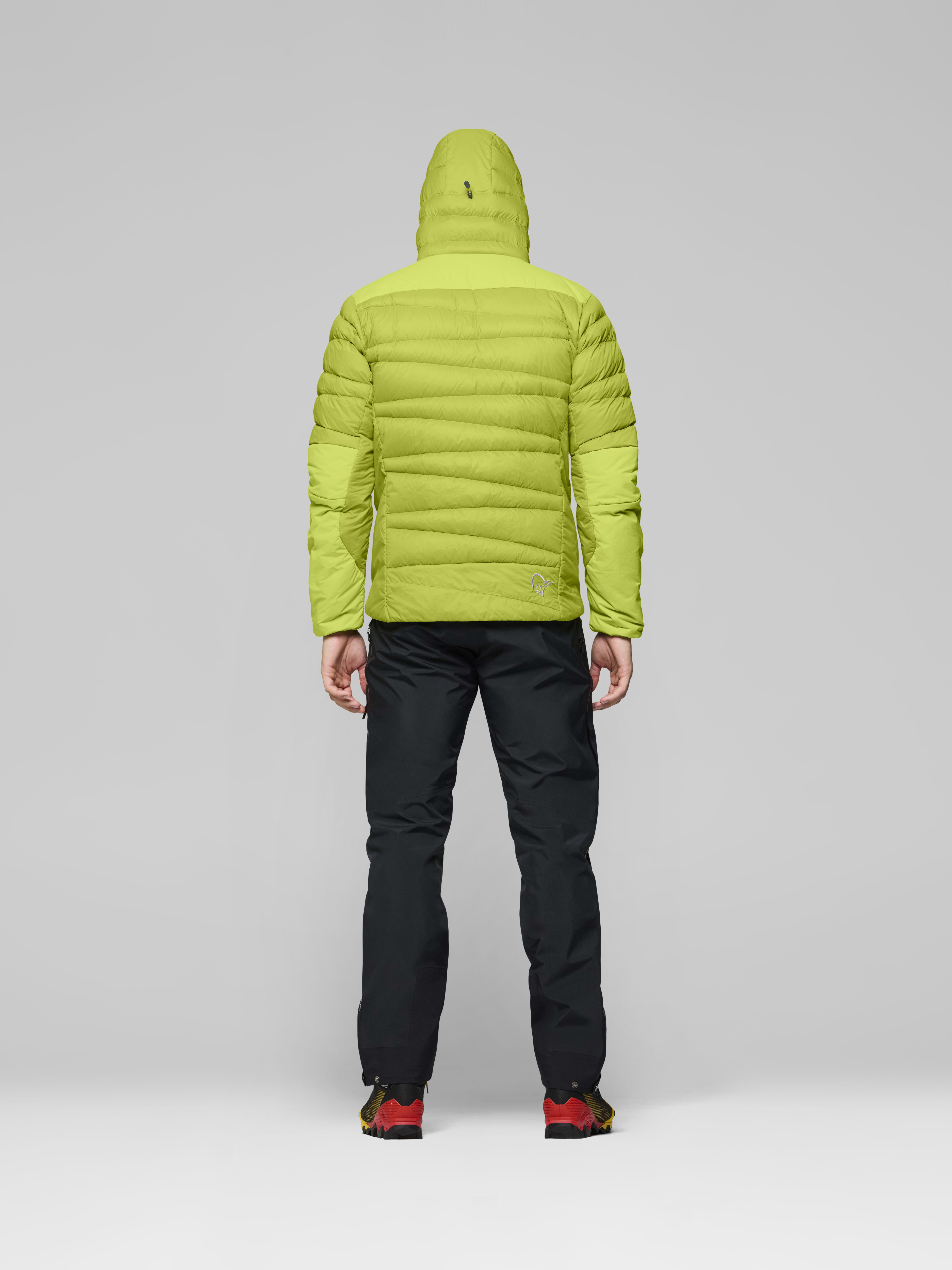 Male Look back image of falketind down750 Zip Hood Dark Citron/Tender Shoots