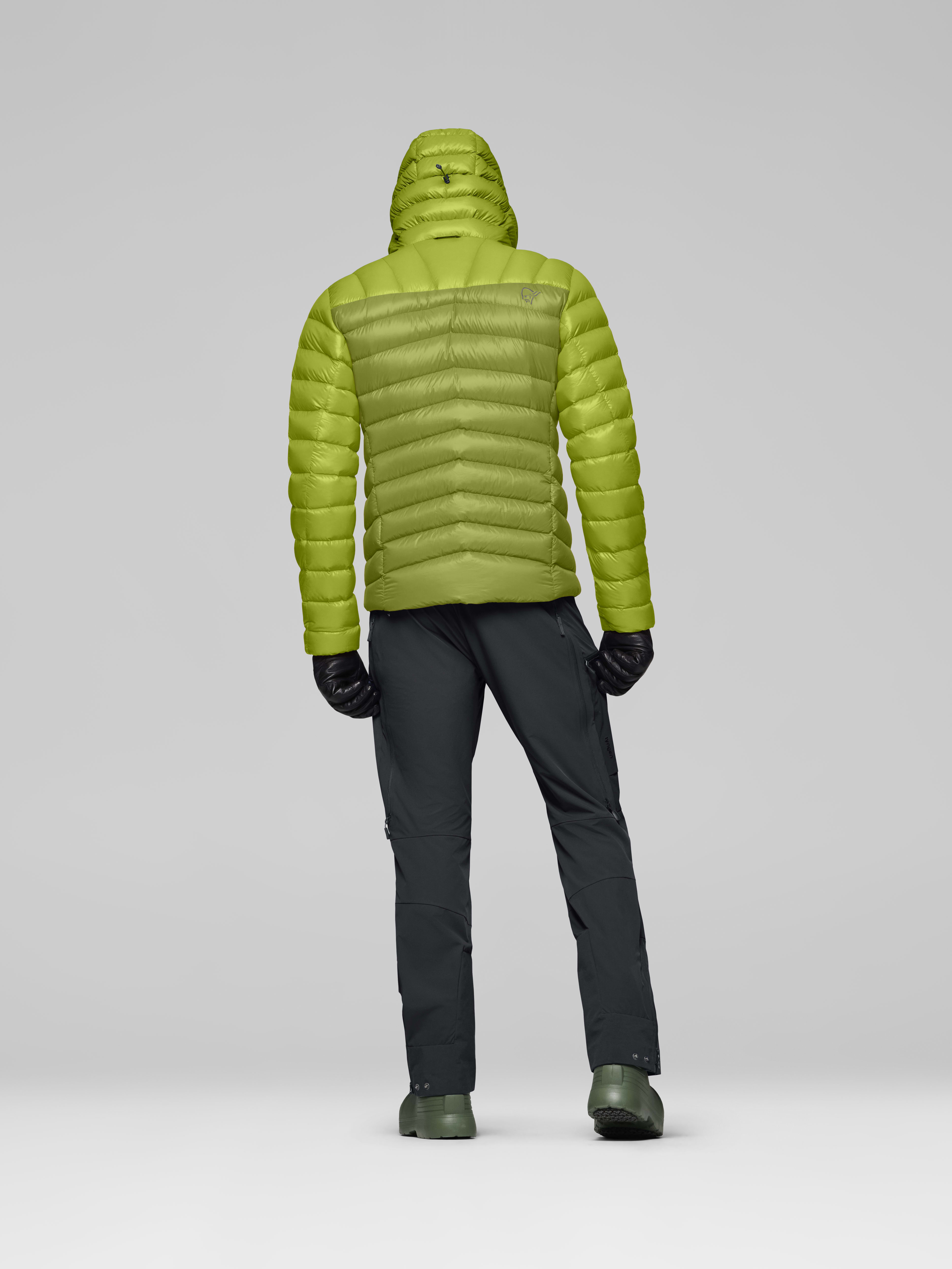 Male Look back image of lyngen down850 Hood Dark Citron/Tender Shoots