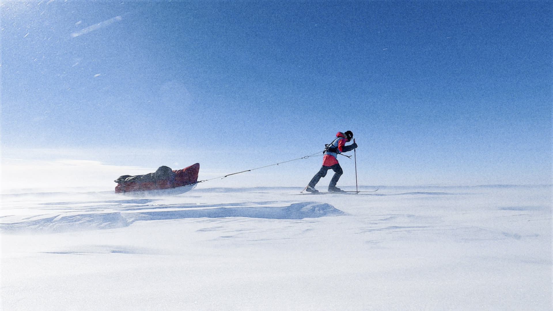 A person cross-country skis across a snowy expanse, pulling a red sled behind them. The sky is a clear blue.