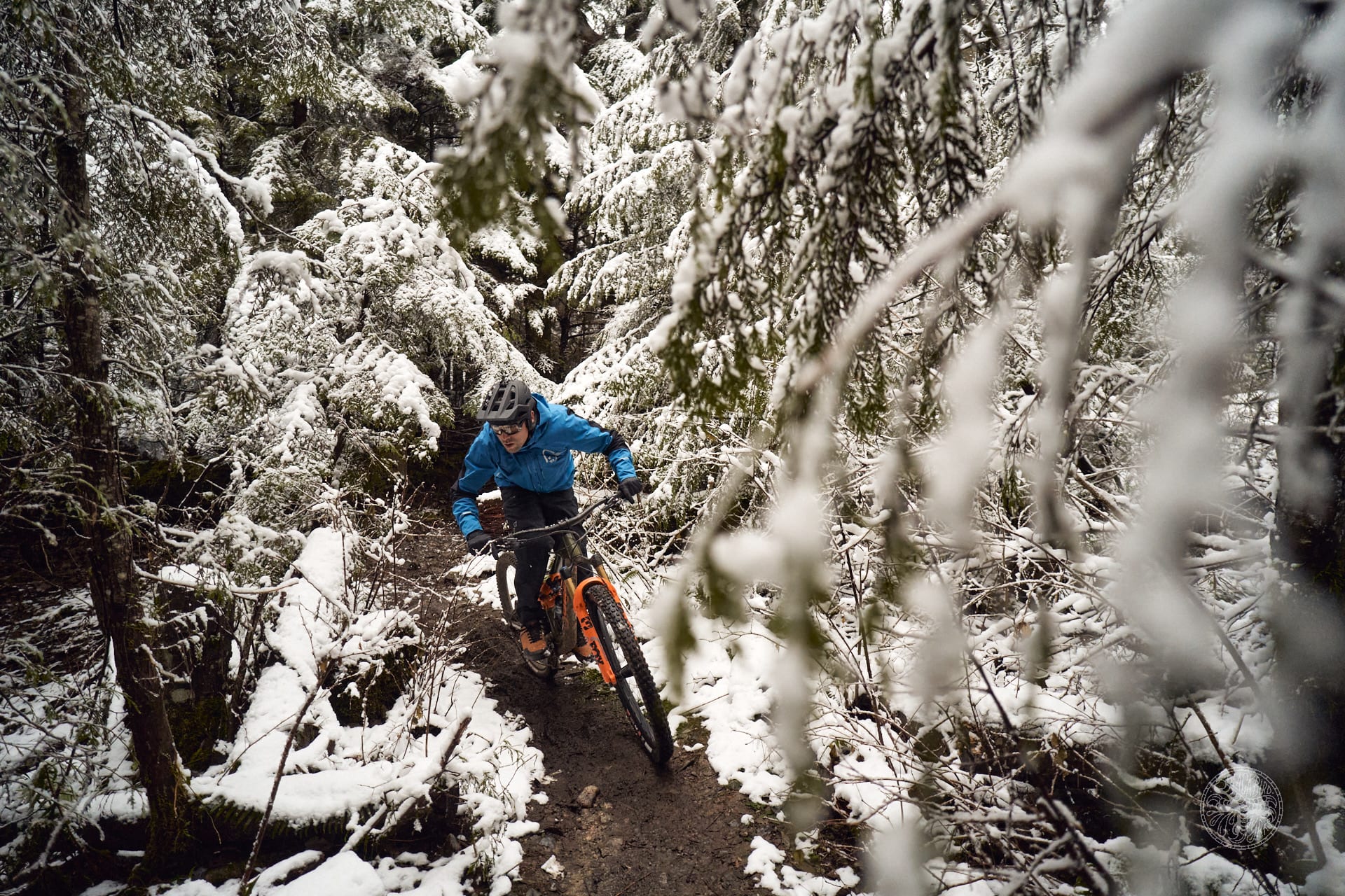 A person wearing a helmet and a blue jacket is riding a bicycle through a snowy forest. The bicycle is orange and black. The person is partially obscured by trees covered in snow.