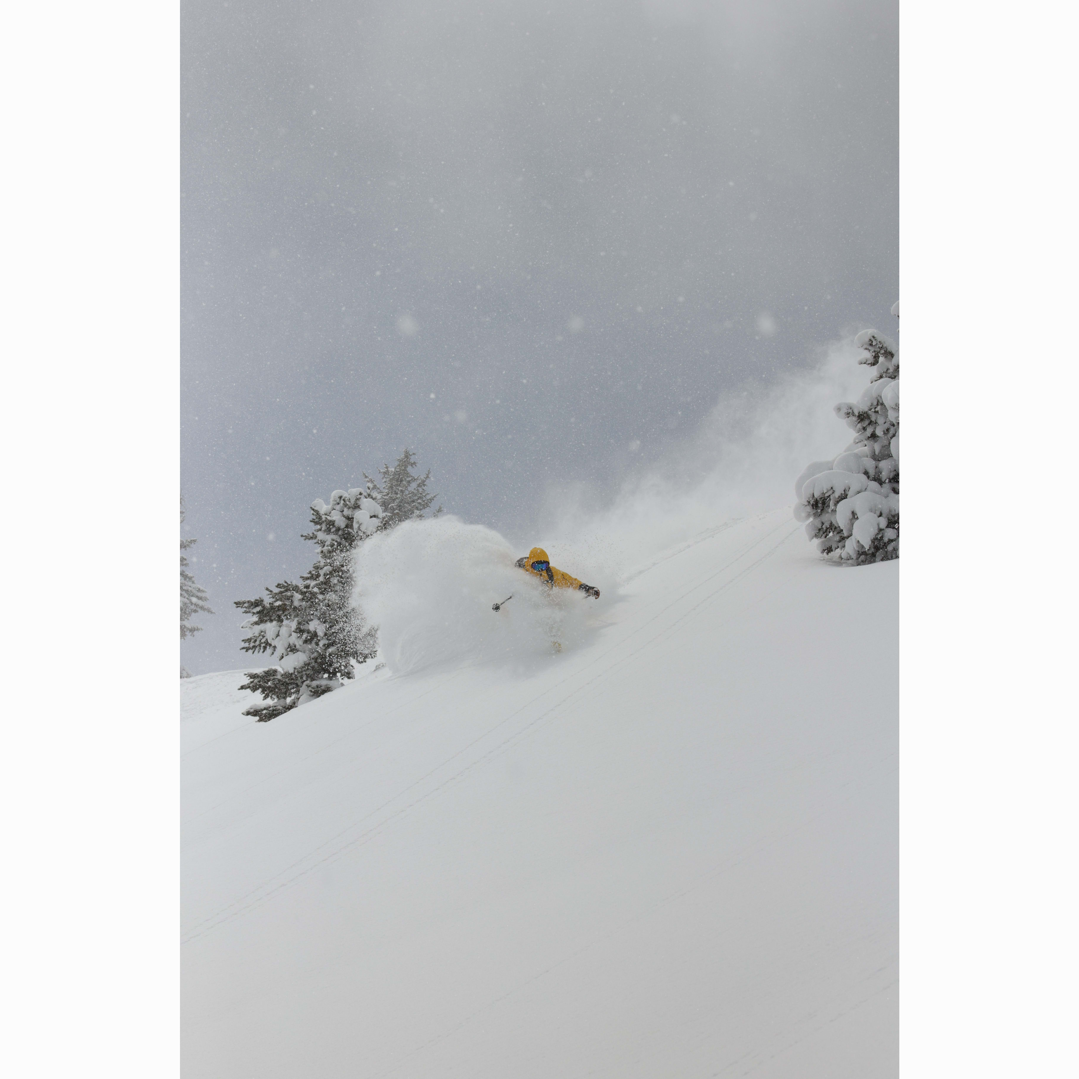 Low angle shot of a skier in a yellow Norrøna jacket skiing through deep powder with snow-covered trees.