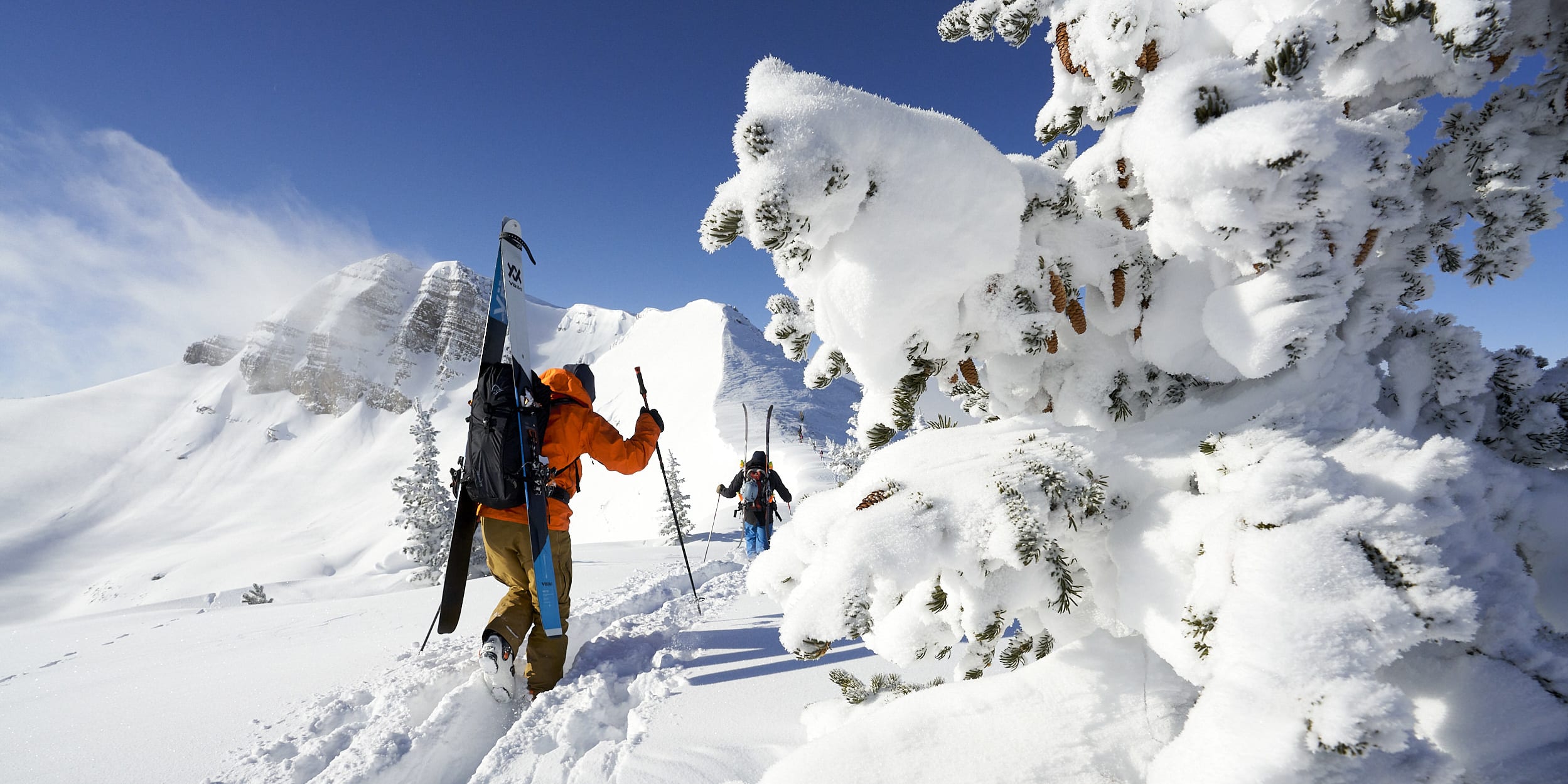 Two skiers in snowy mountains under a blue sky. One skier wears a Norrøna orange jacket and carries skis. Snow-covered trees.
