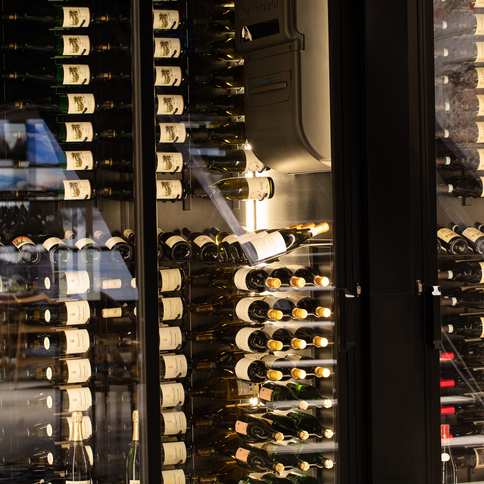 Wine cellar with rows of various wine bottles. Bottles are stored horizontally on racks behind a glass door.