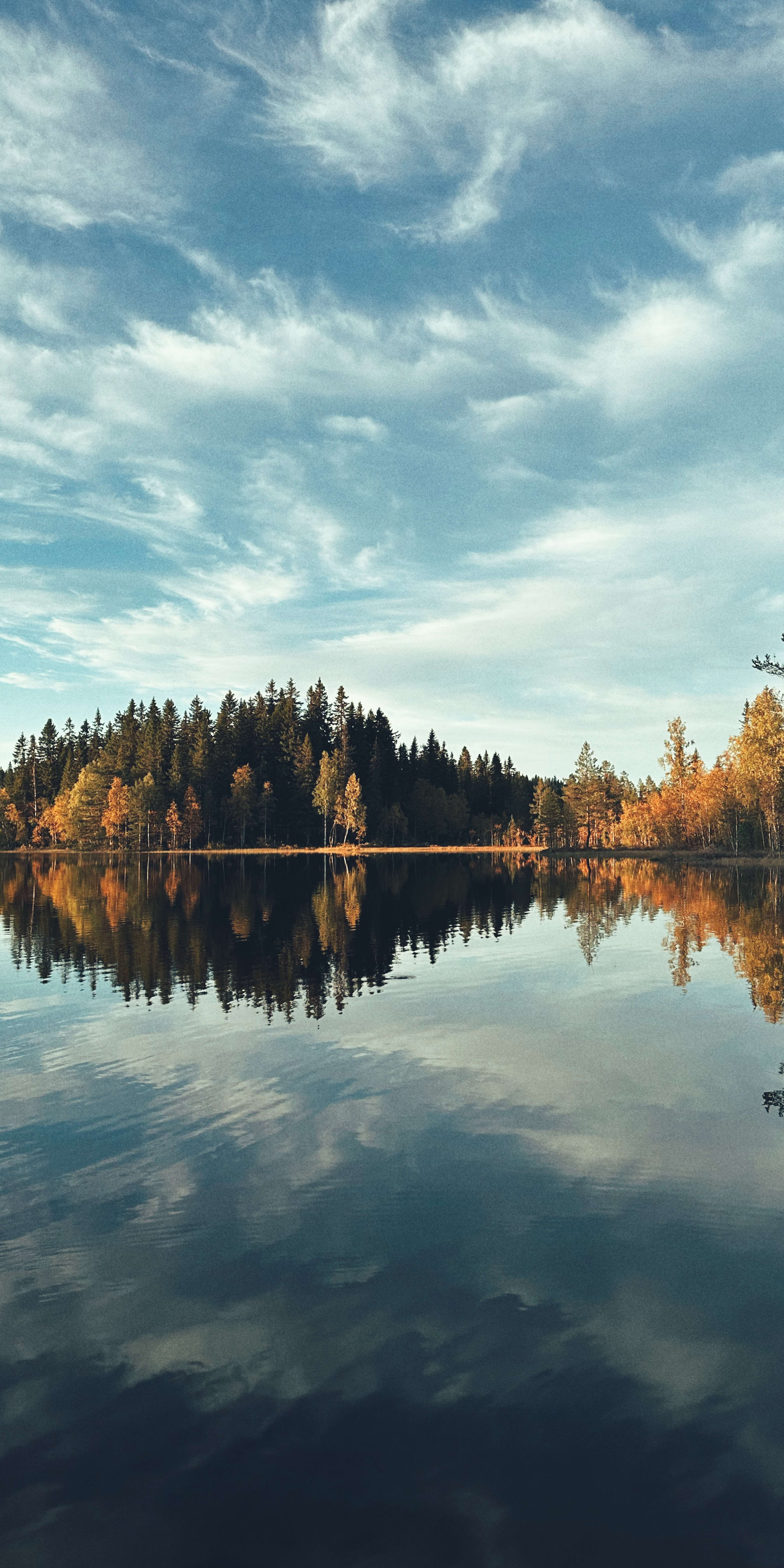 A still lake reflects the cloudy sky and trees lining the shore. 
